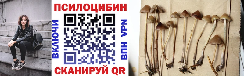 Галлюциногенные грибы мухоморы  Задонск 